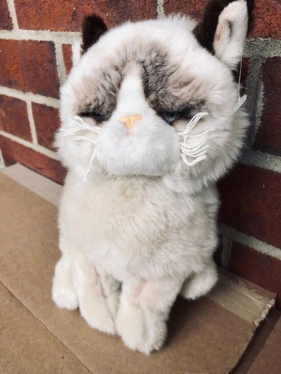 Gund Other - Grumpy Cat GUND Plush Stuffed Animal Tan Brown 10” 4040133 Meme Cat Sitting
